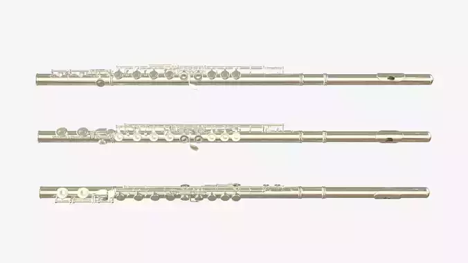 Flute silver