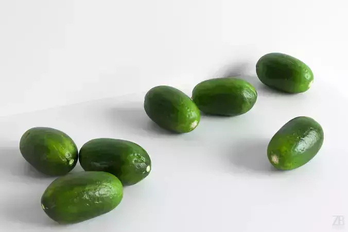 Cucumber 3D model