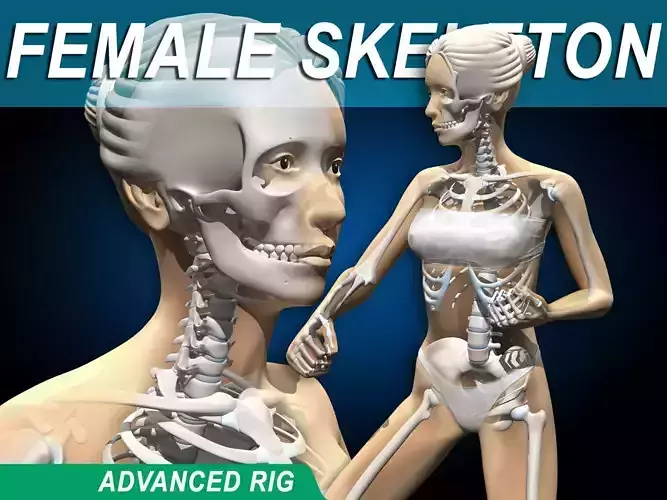 Female Skeleton - Advance Rig