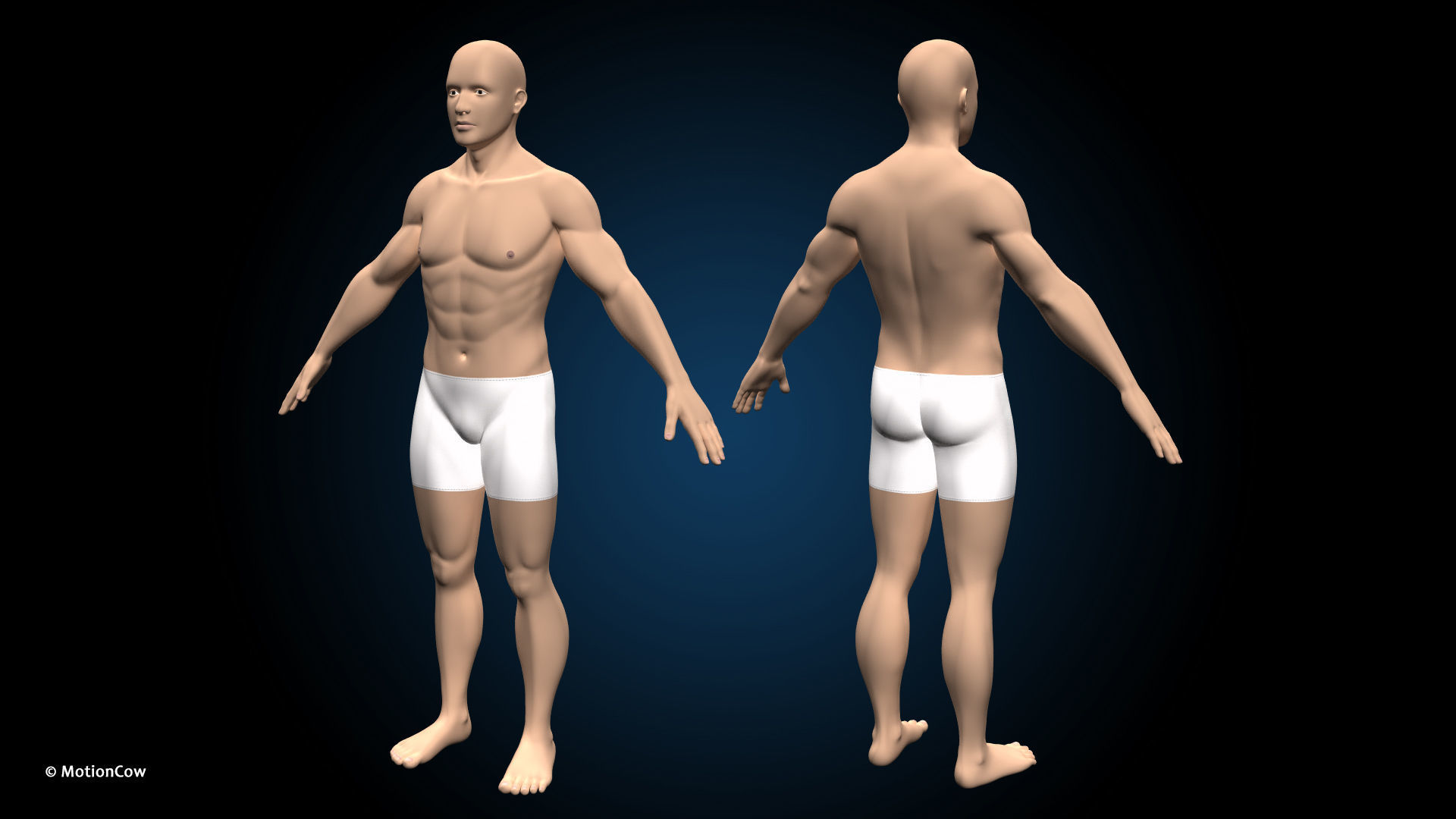 Ultimate Male Anatomy PRO V2 - Advanced Rig w Animation 3D model_19