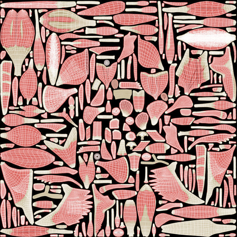 Ultimate Male Anatomy PRO V2 - Advanced Rig w Animation 3D model_57