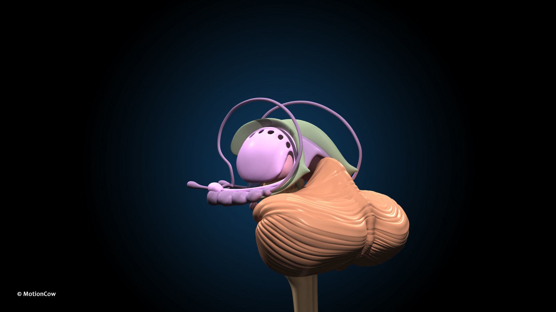 Ultimate Male Anatomy PRO V2 - Advanced Rig w Animation 3D model_42