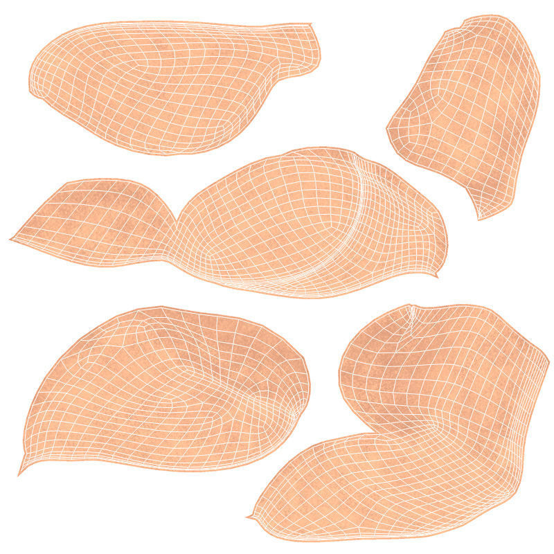 Ultimate Male Anatomy PRO V2 - Advanced Rig w Animation 3D model_59