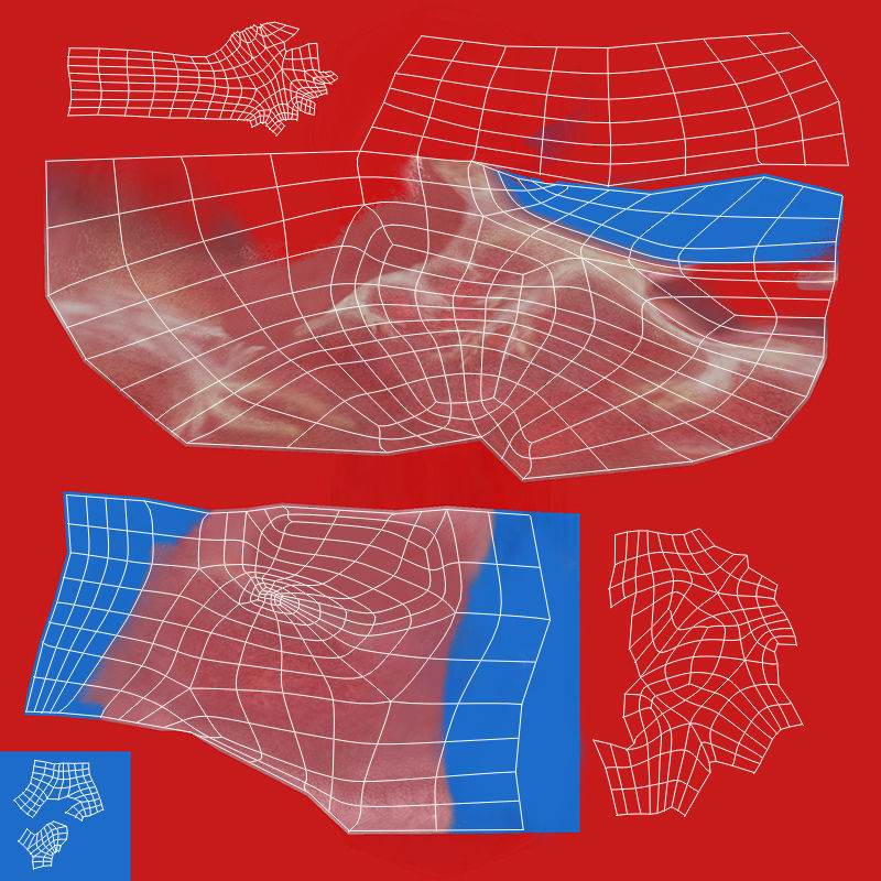 Ultimate Male Anatomy PRO V2 - Advanced Rig w Animation 3D model_58