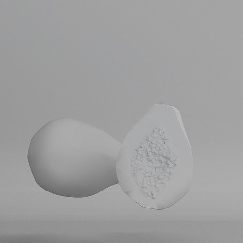 Papaya 3D model 4