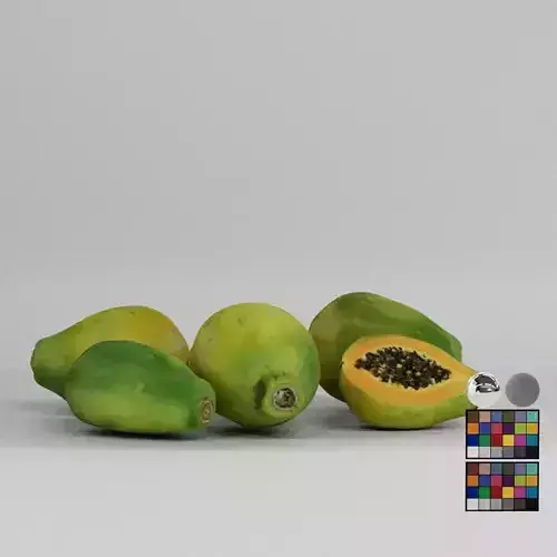 Papaya 3D model