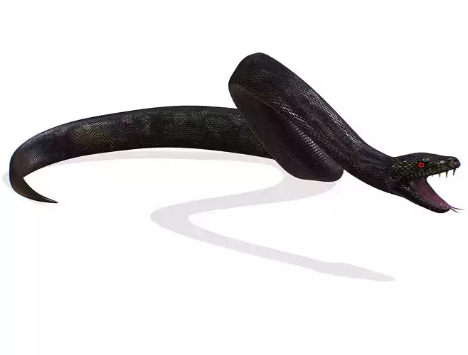 Skined LowPoly Realistic Black Python Snake