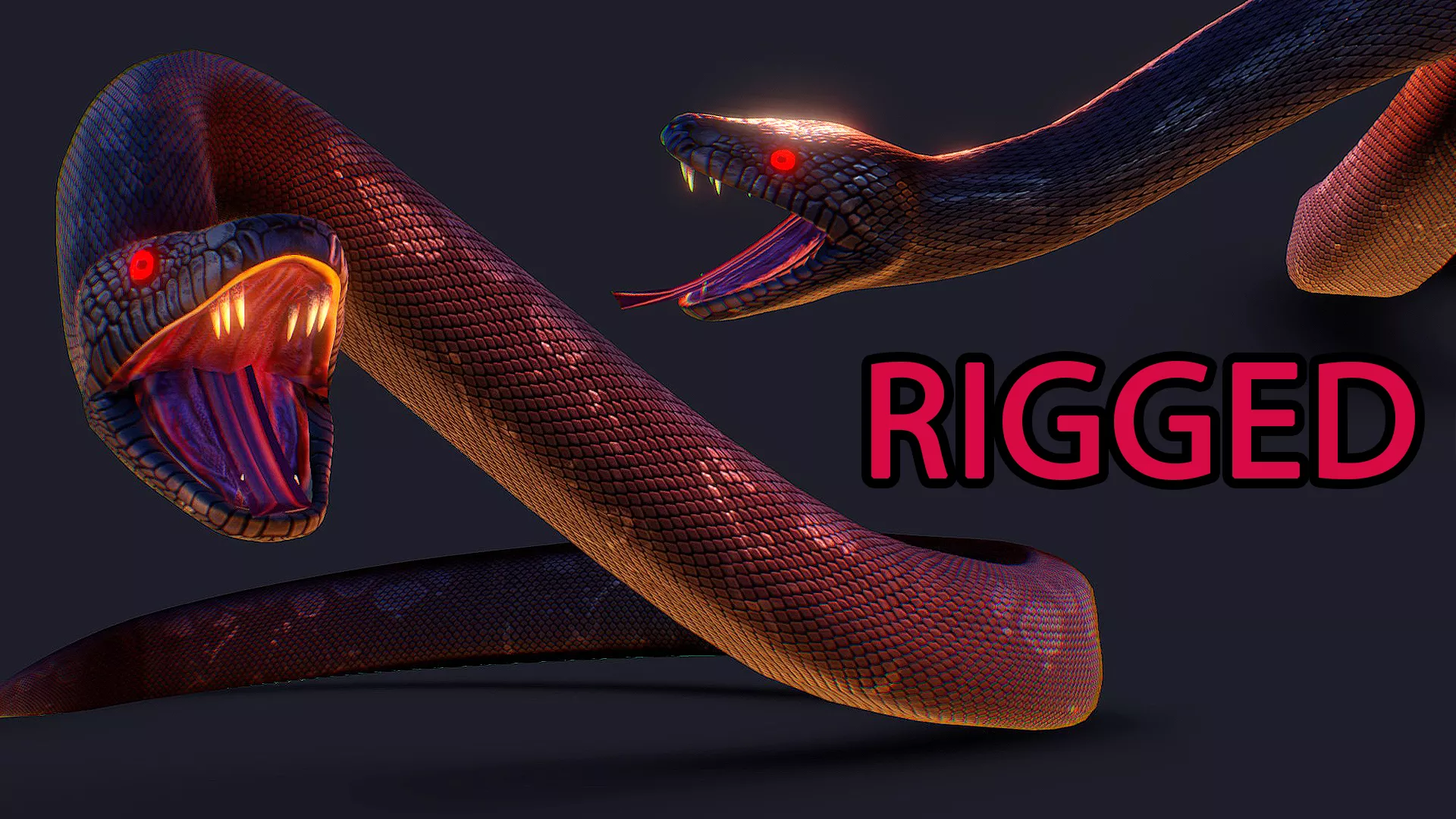 Snake - Black Python - Giant Anaconda - Tropical Reptile Low-poly 3D model