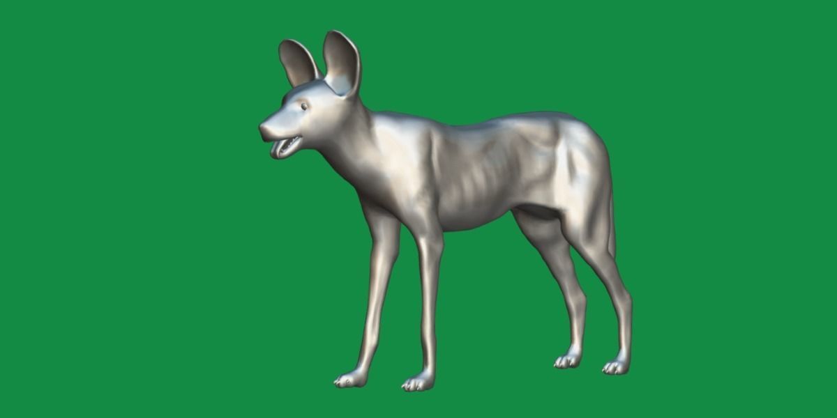 African Wild Dog Low-poly 3D model_8