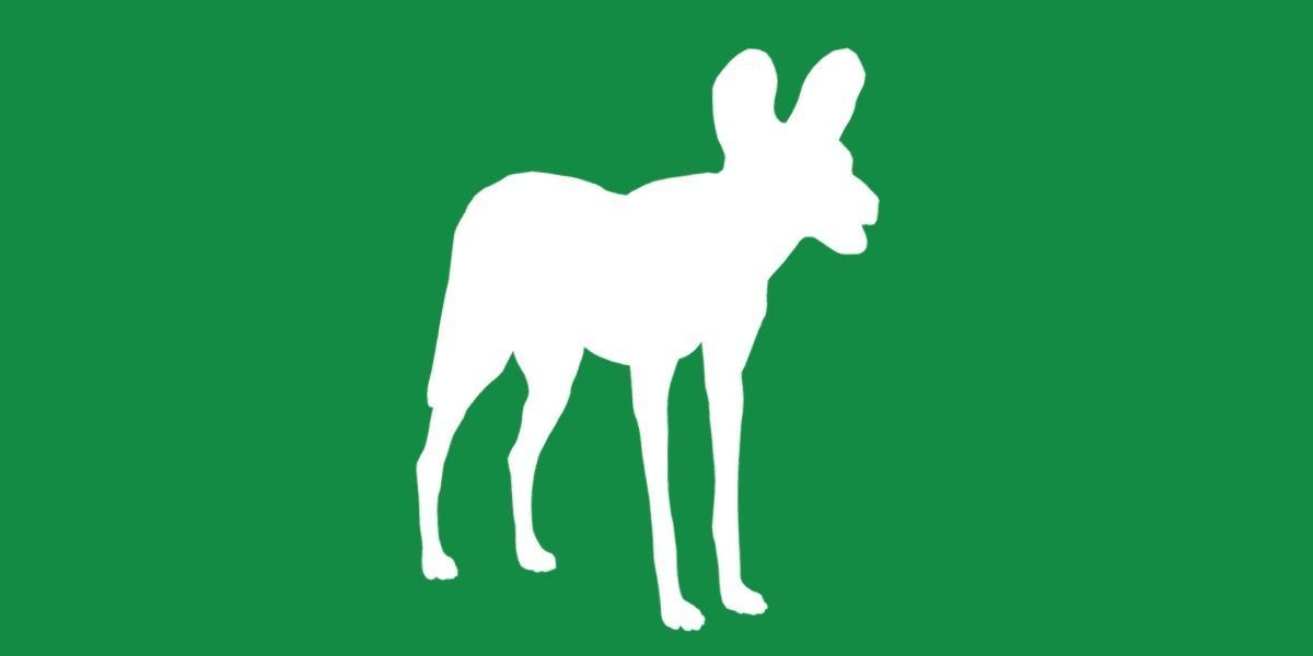 African Wild Dog Low-poly 3D model_21