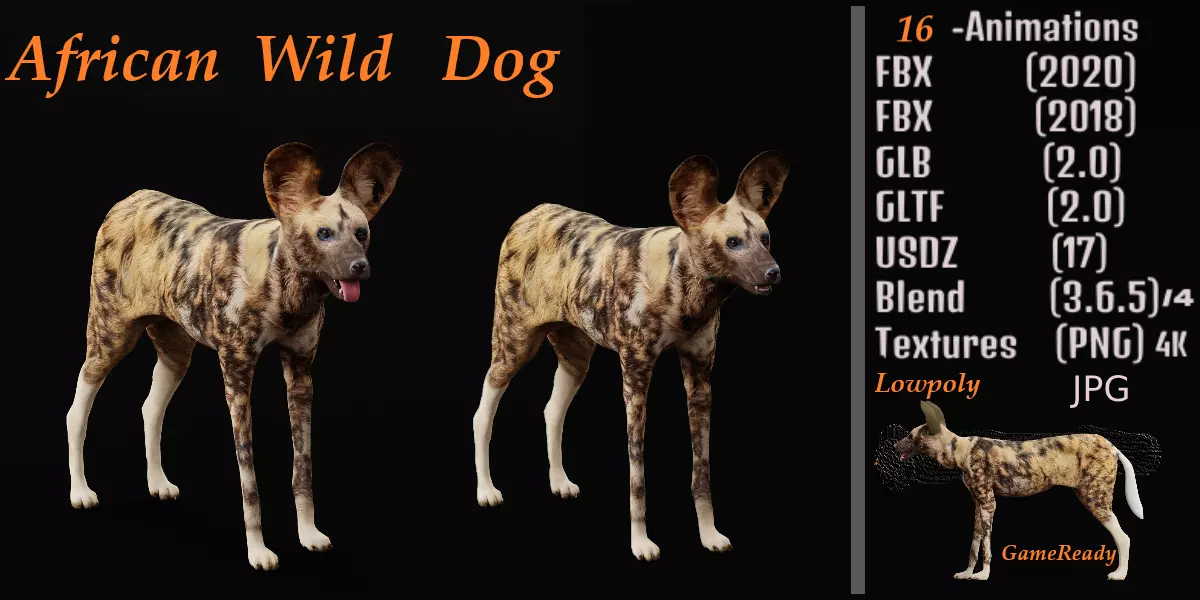 African Wild Dog Low-poly 3D model_0