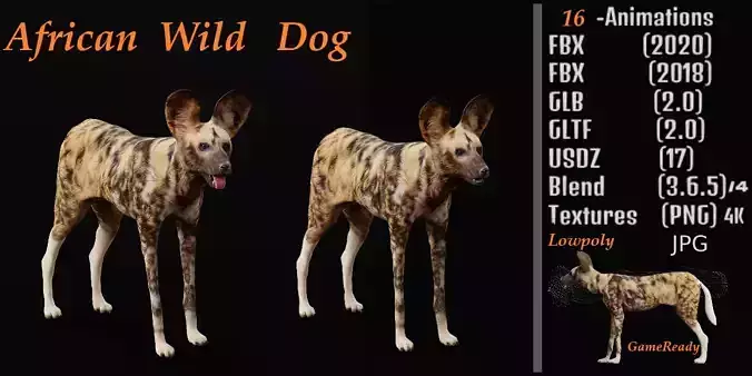 African Wild Dog Low-poly 3D model