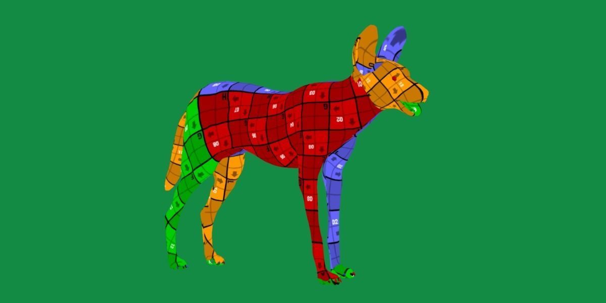 African Wild Dog Low-poly 3D model_11