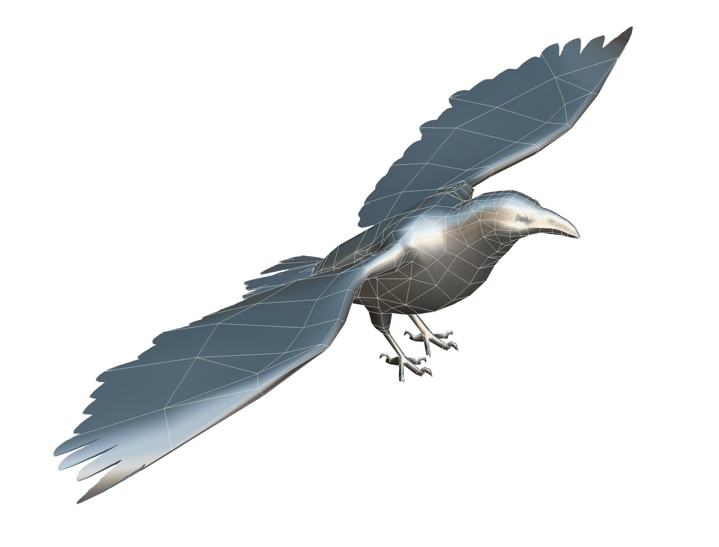 Low Poly Black Raven Wild Bird Crow Low-poly 3D model_29