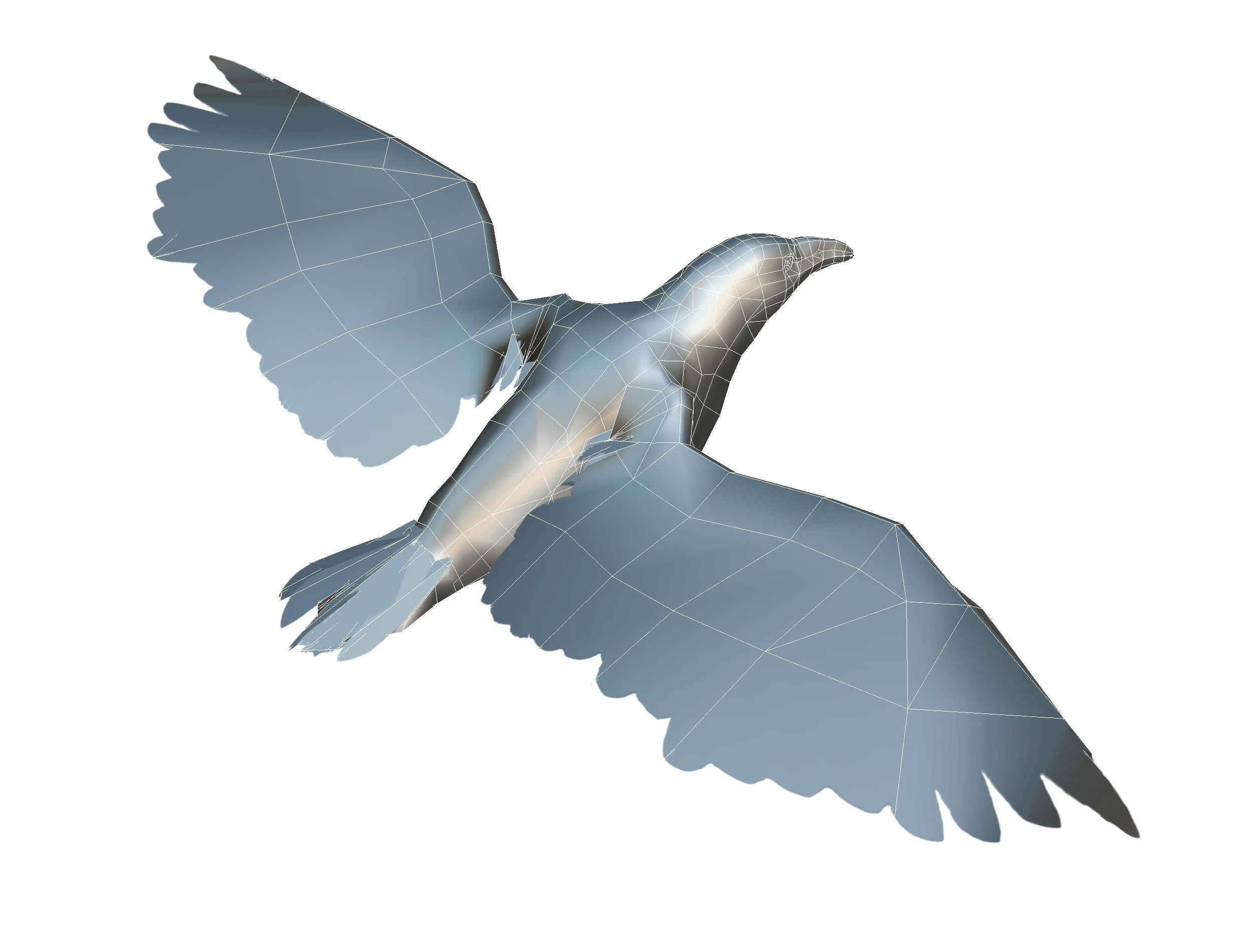 Low Poly Black Raven Wild Bird Crow Low-poly 3D model_31