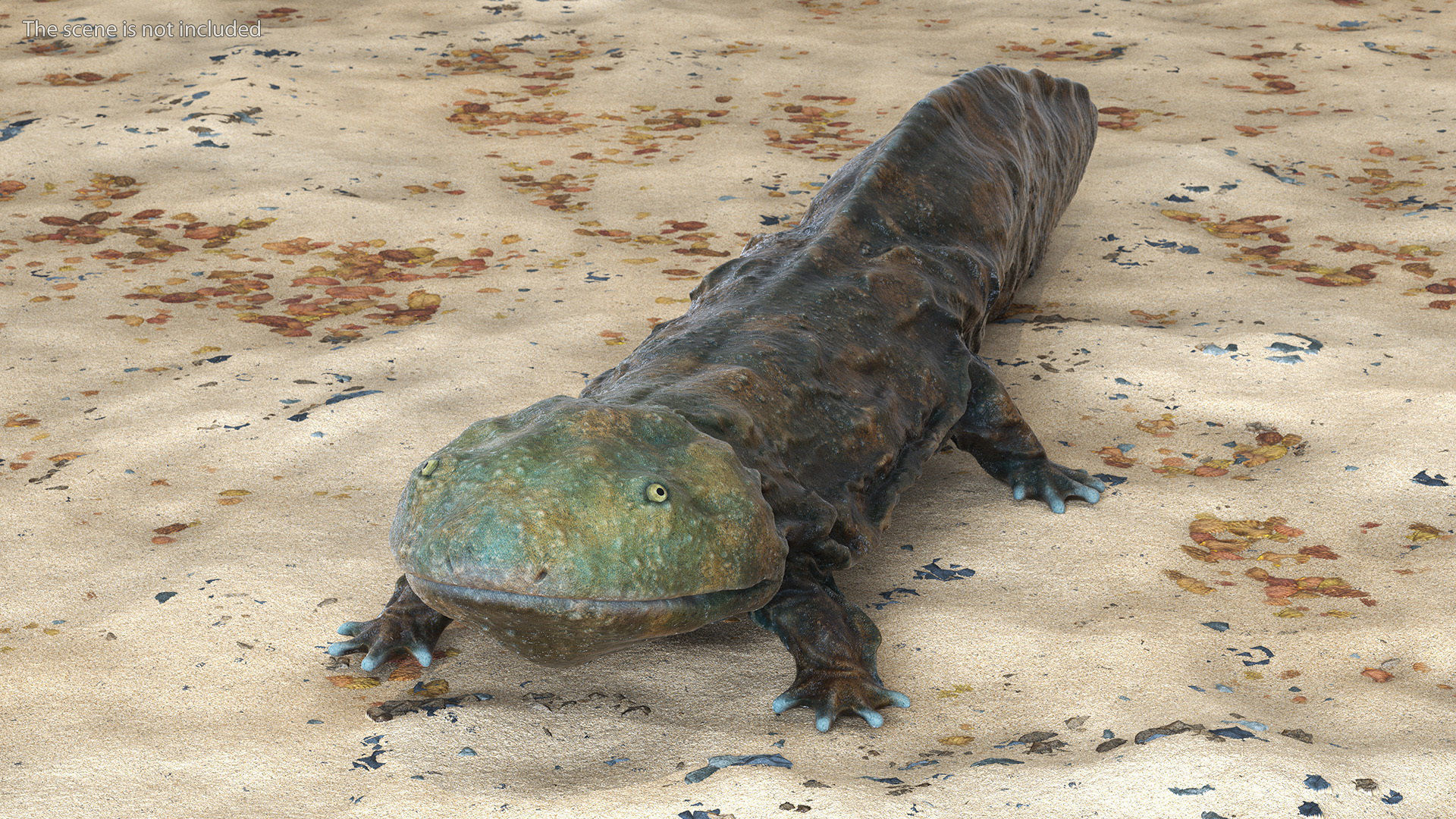 Aquatic Salamander Light Wet Rigged for Maya 3D model