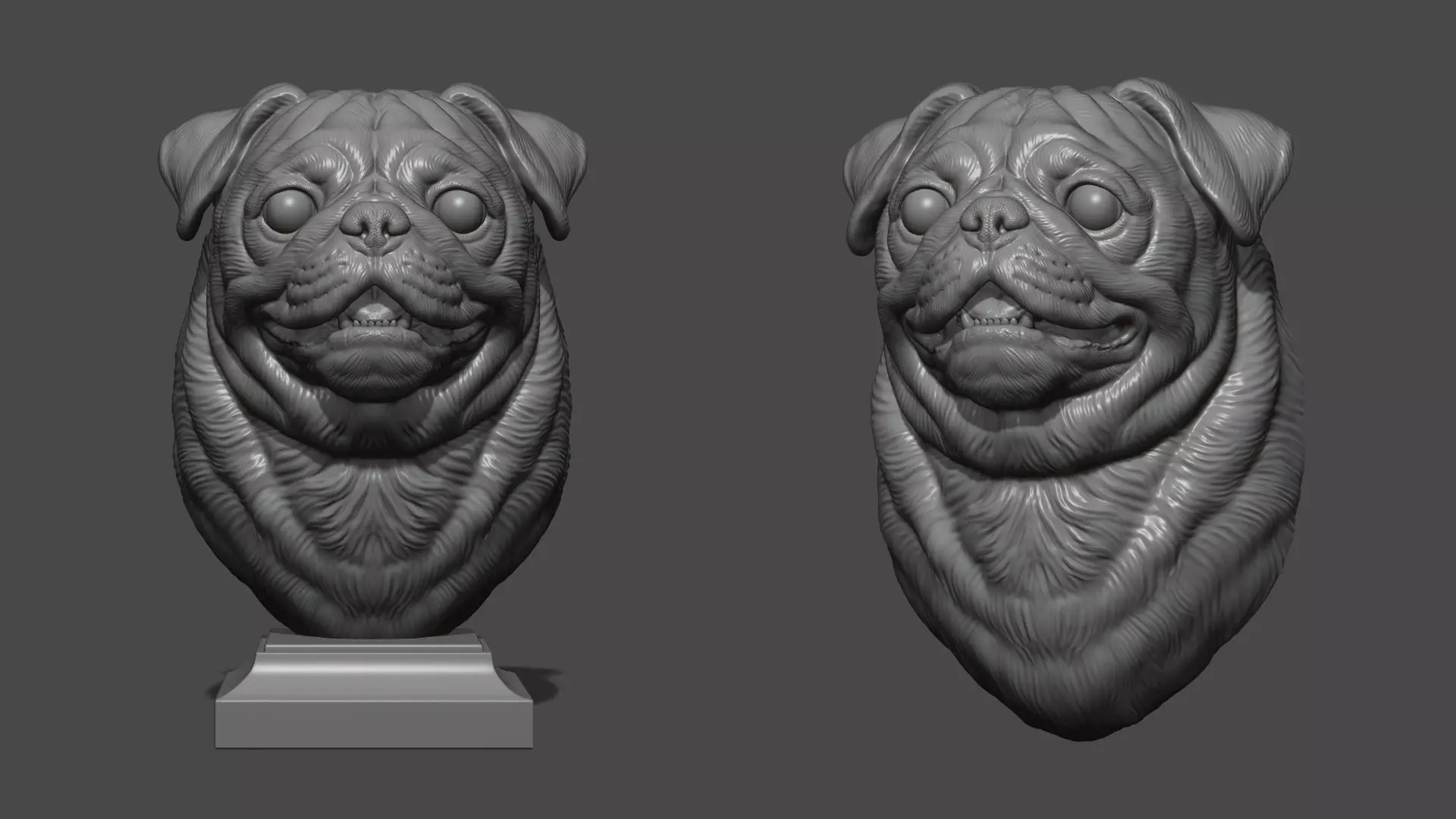 Pug bust version 2 3D print model_0