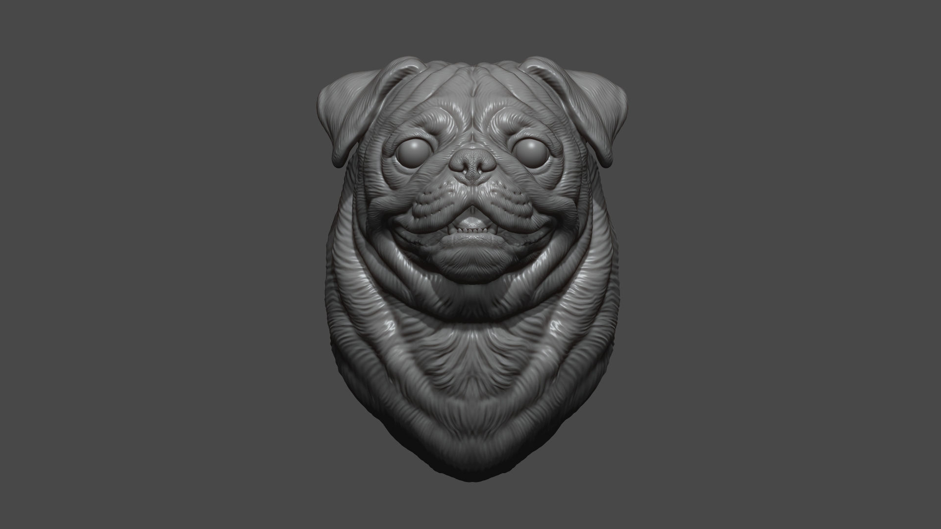 Pug bust version 2 3D print model_7