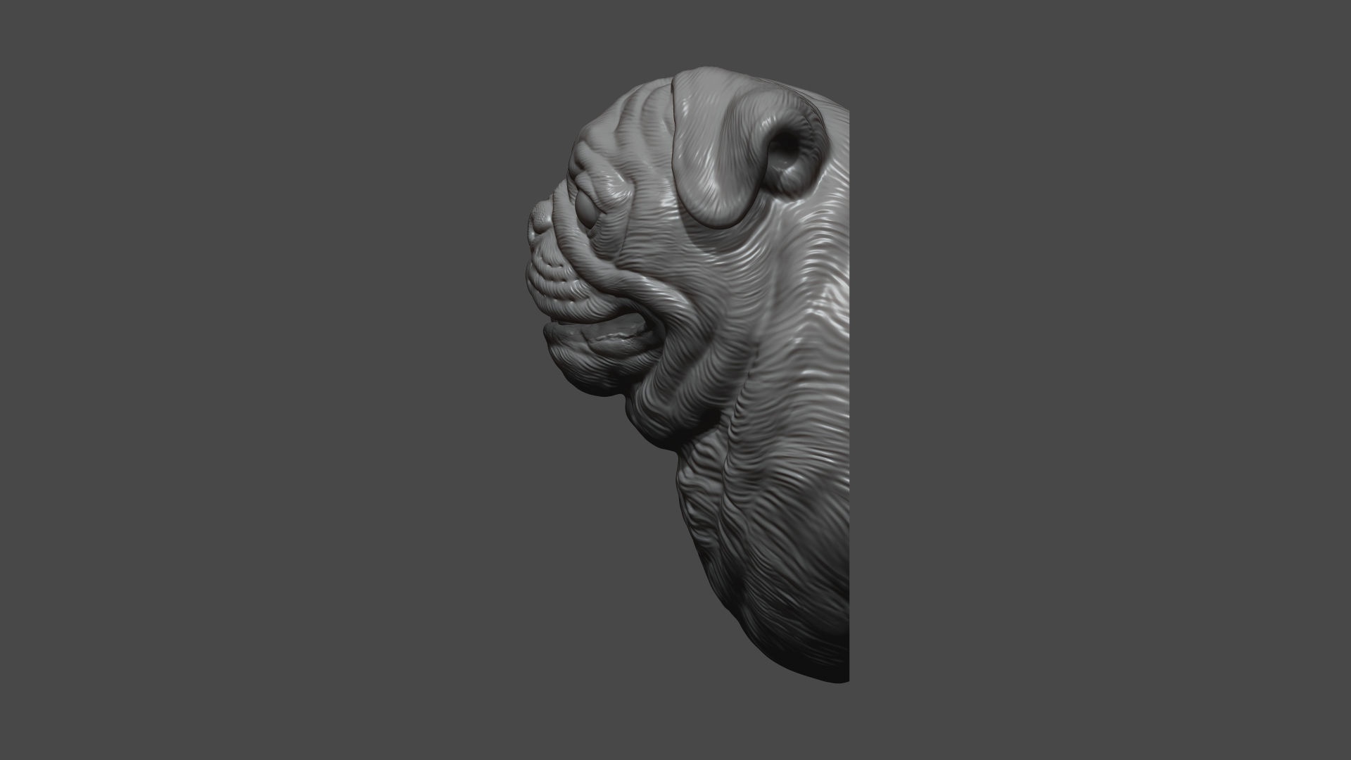 Pug bust version 2 3D print model_5