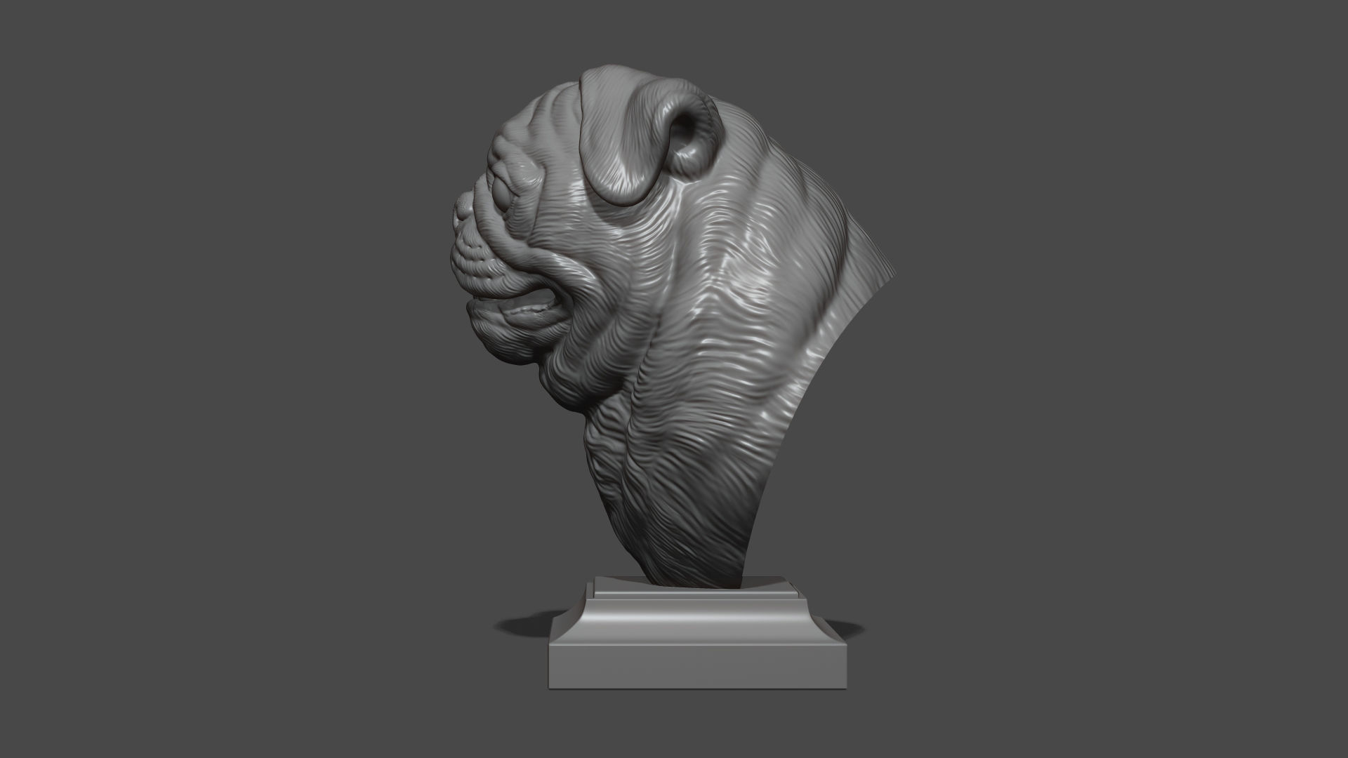 Pug bust version 2 3D print model_14