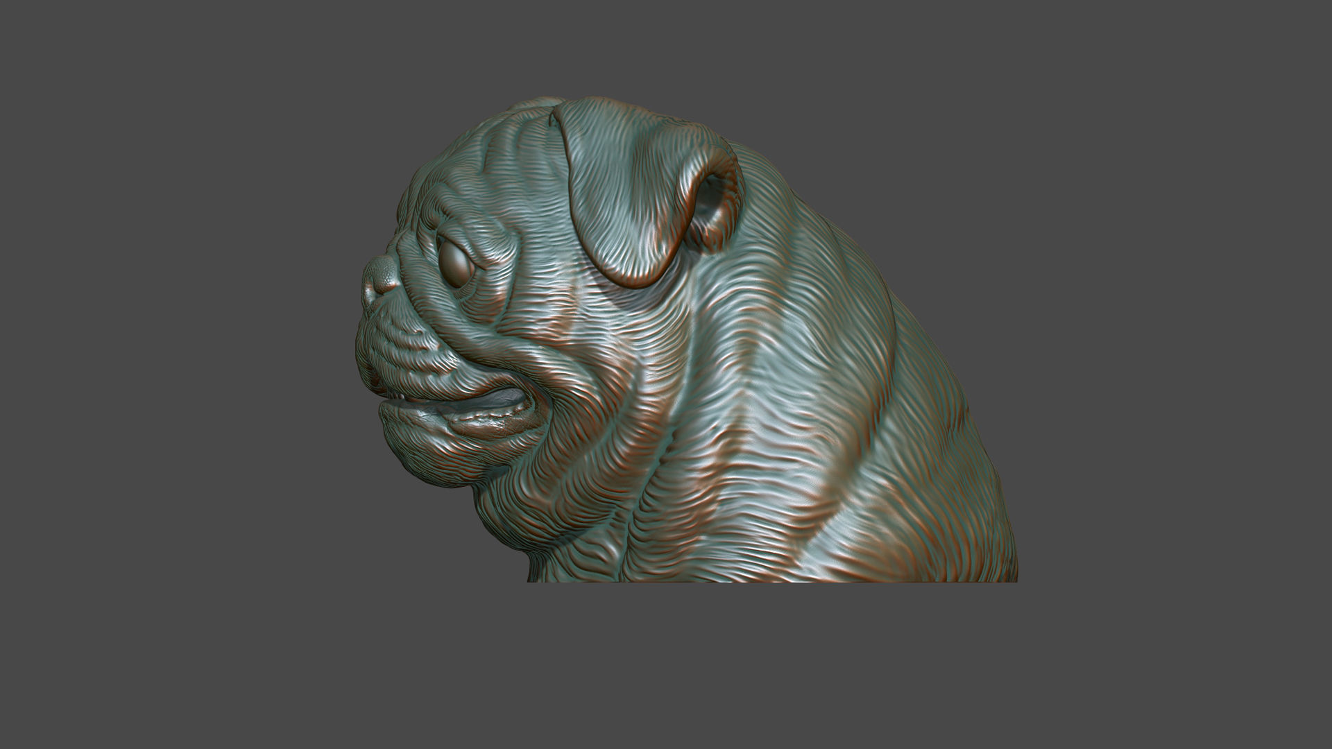 Pug bust version 2 3D print model_10
