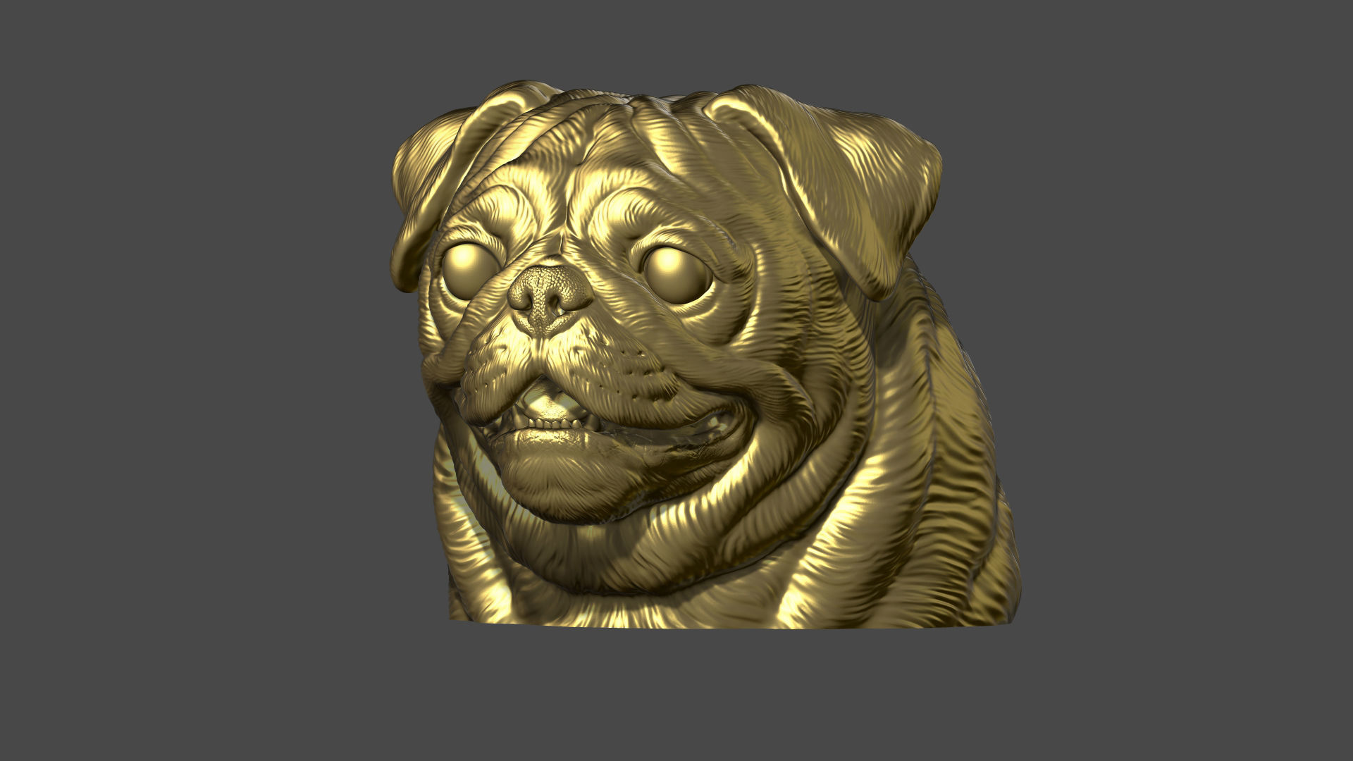 Pug bust version 2 3D print model_11