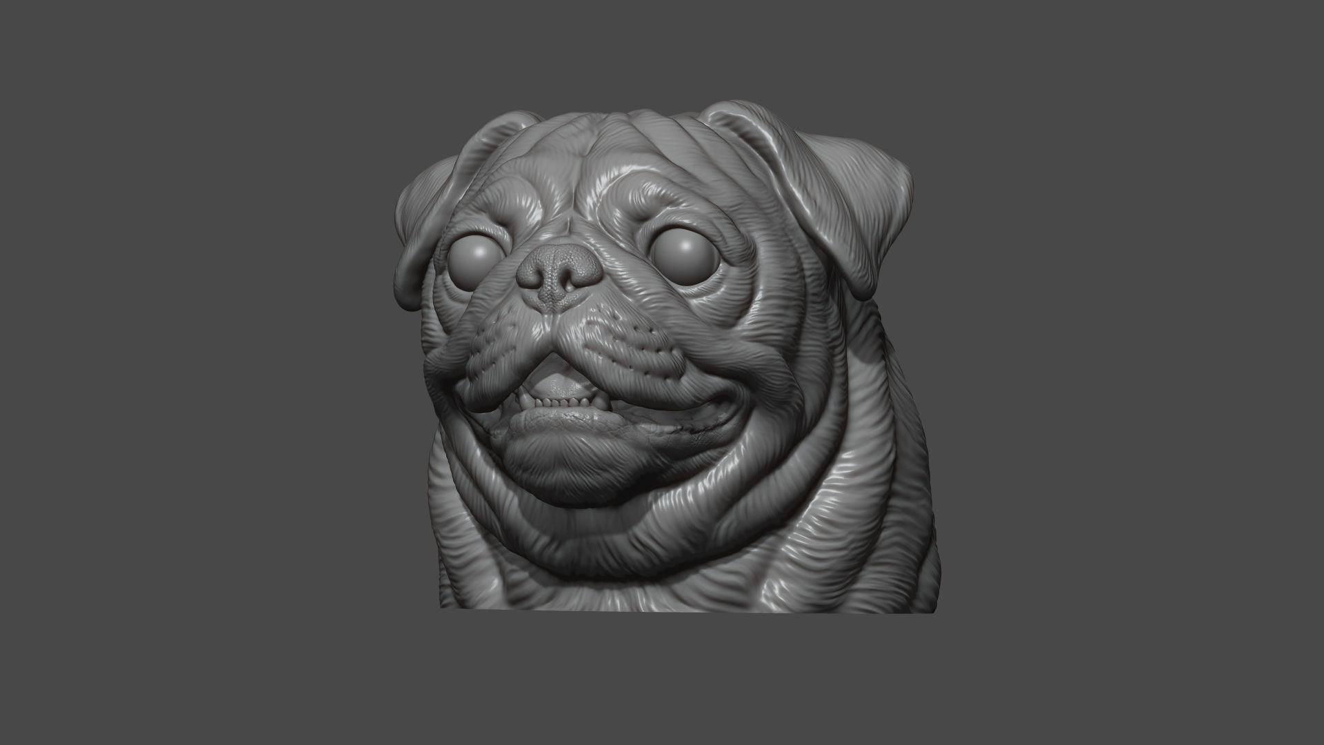Pug bust version 2 3D print model_8