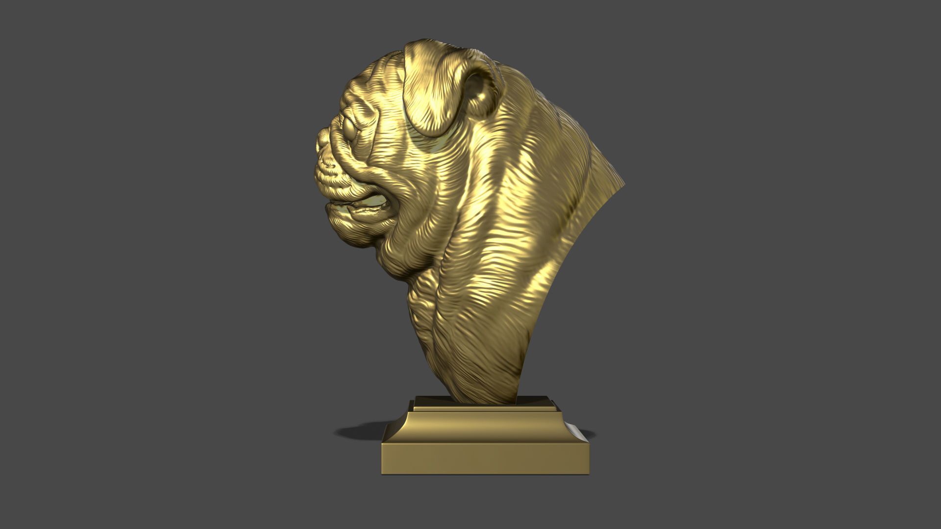 Pug bust version 2 3D print model_17
