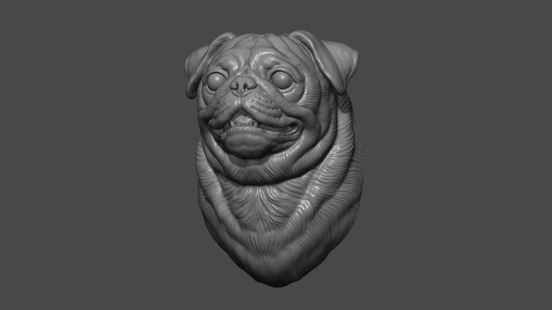 Pug bust version 2 3D print model_6