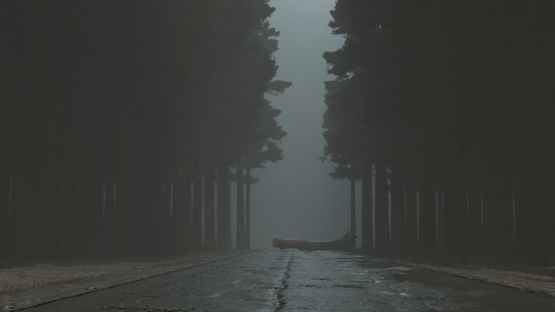 Atmospheric road in the forest 3D model_2