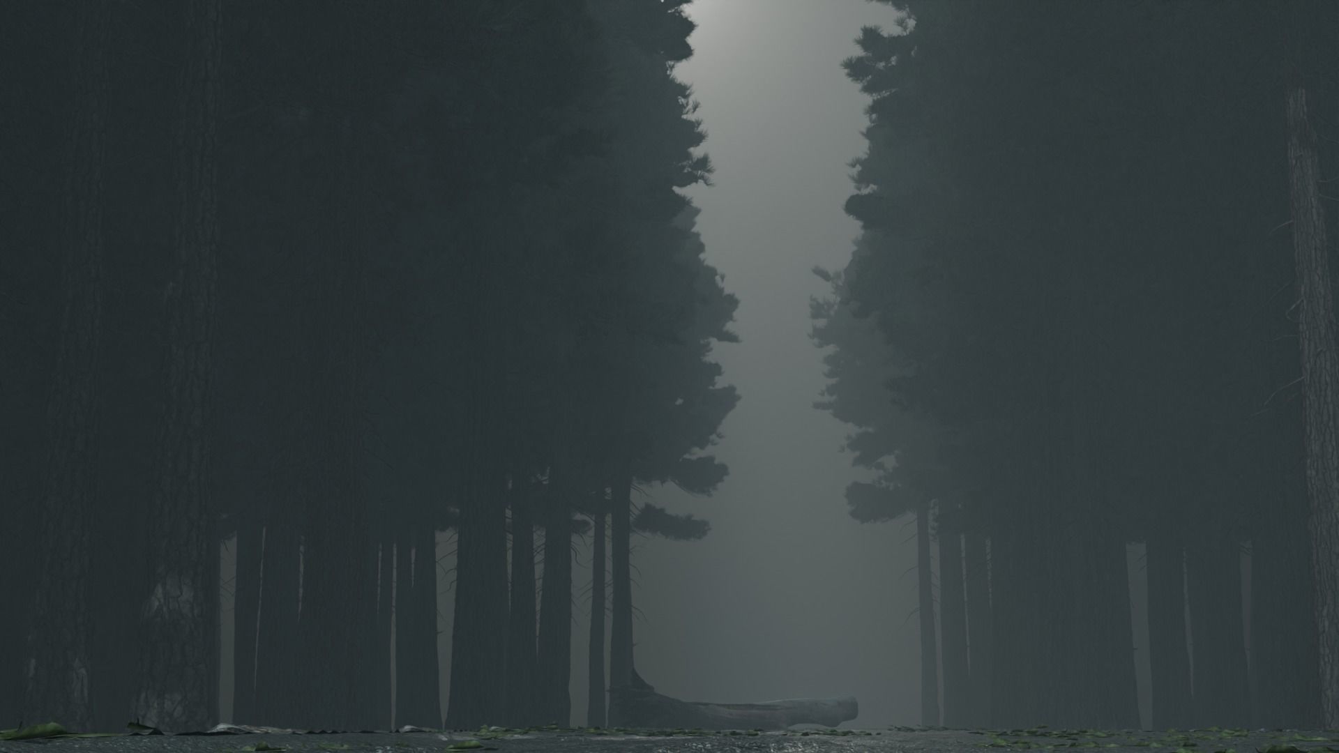 Atmospheric road in the forest 3D model_3