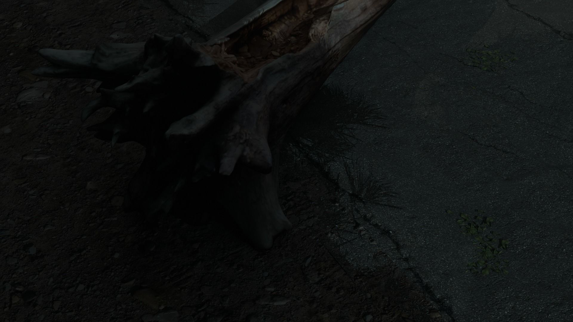 Atmospheric road in the forest 3D model_6