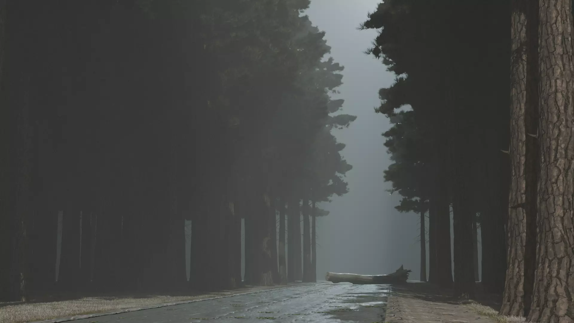 Atmospheric road in the forest 3D model_0