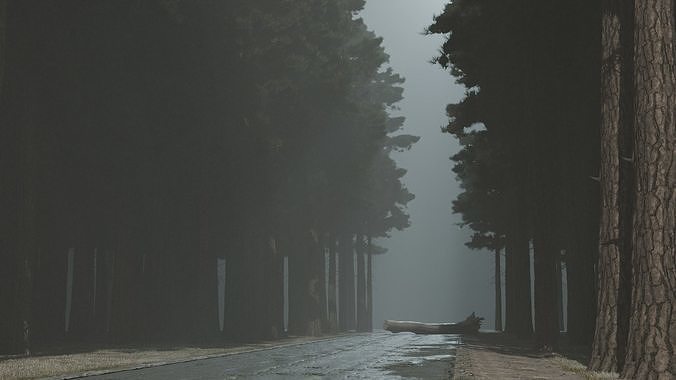 Atmospheric road in the forest 3D model