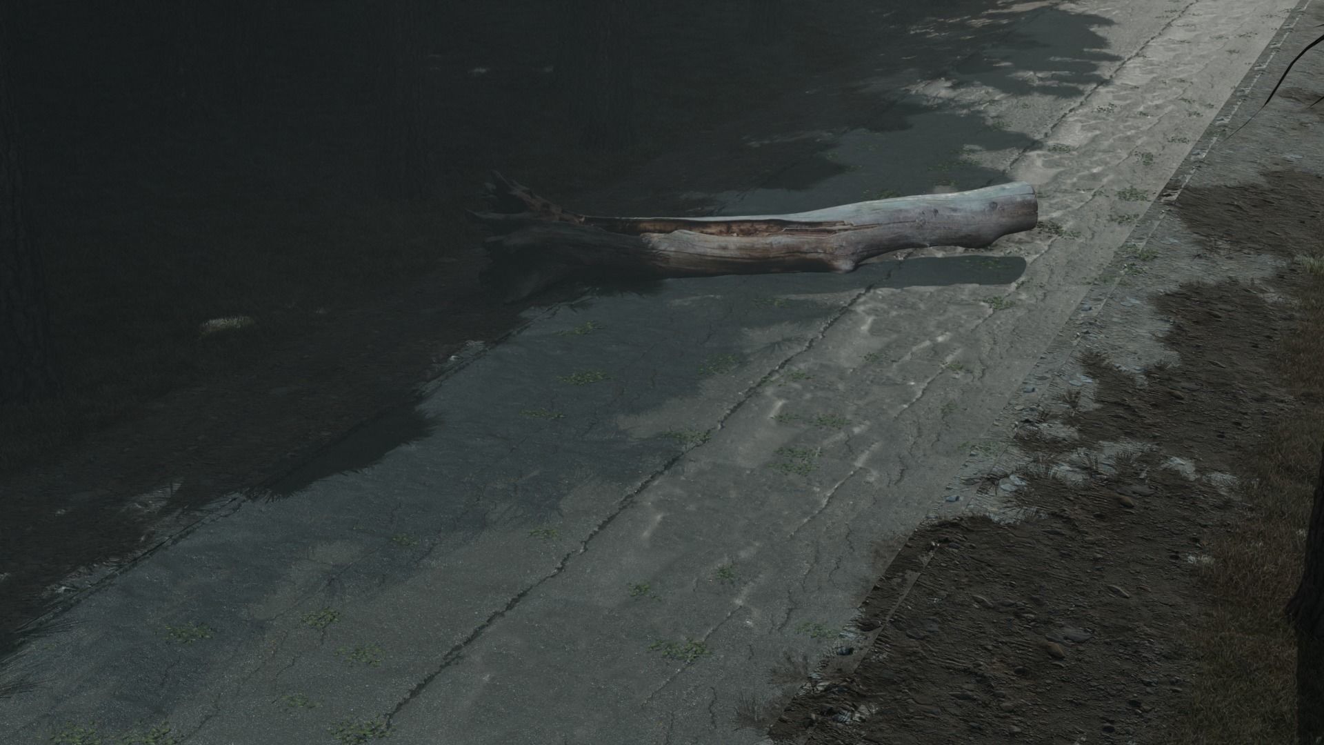 Atmospheric road in the forest 3D model_1