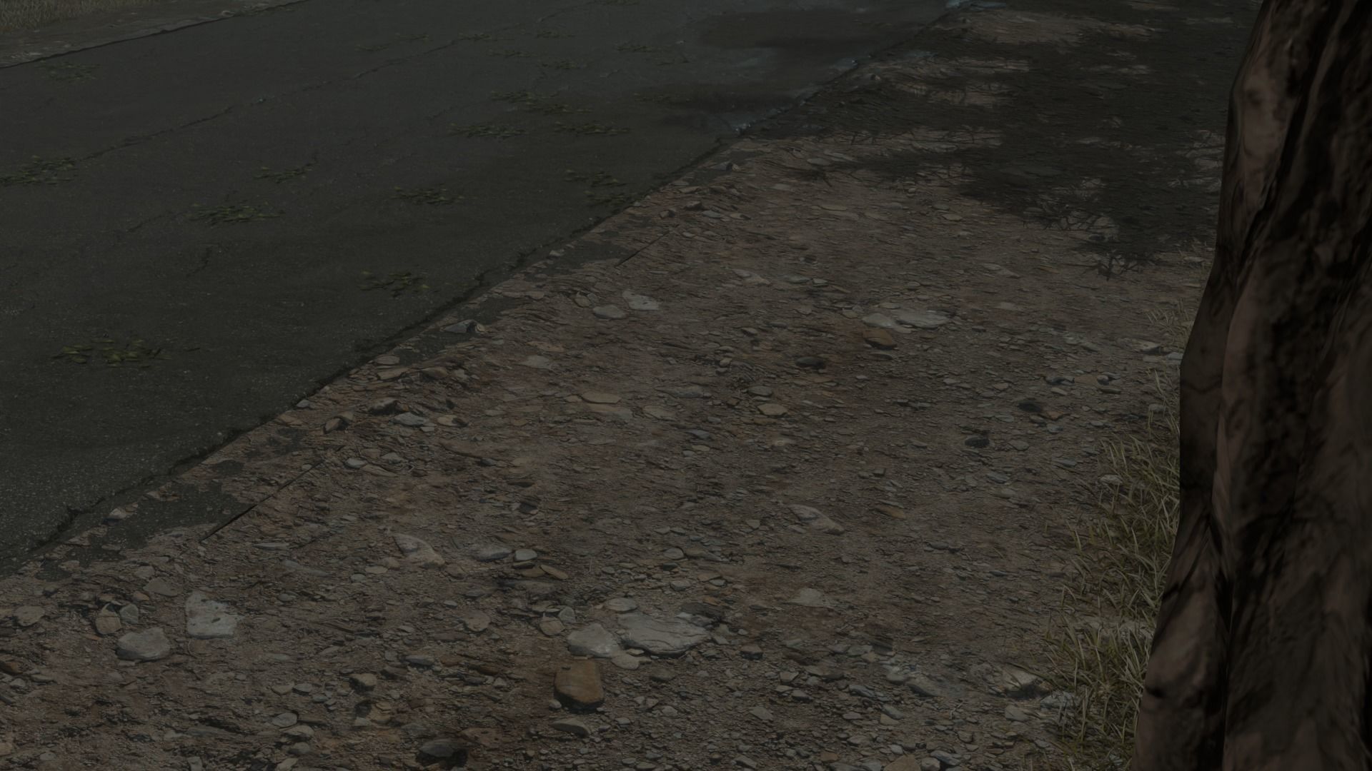 Atmospheric road in the forest 3D model_5