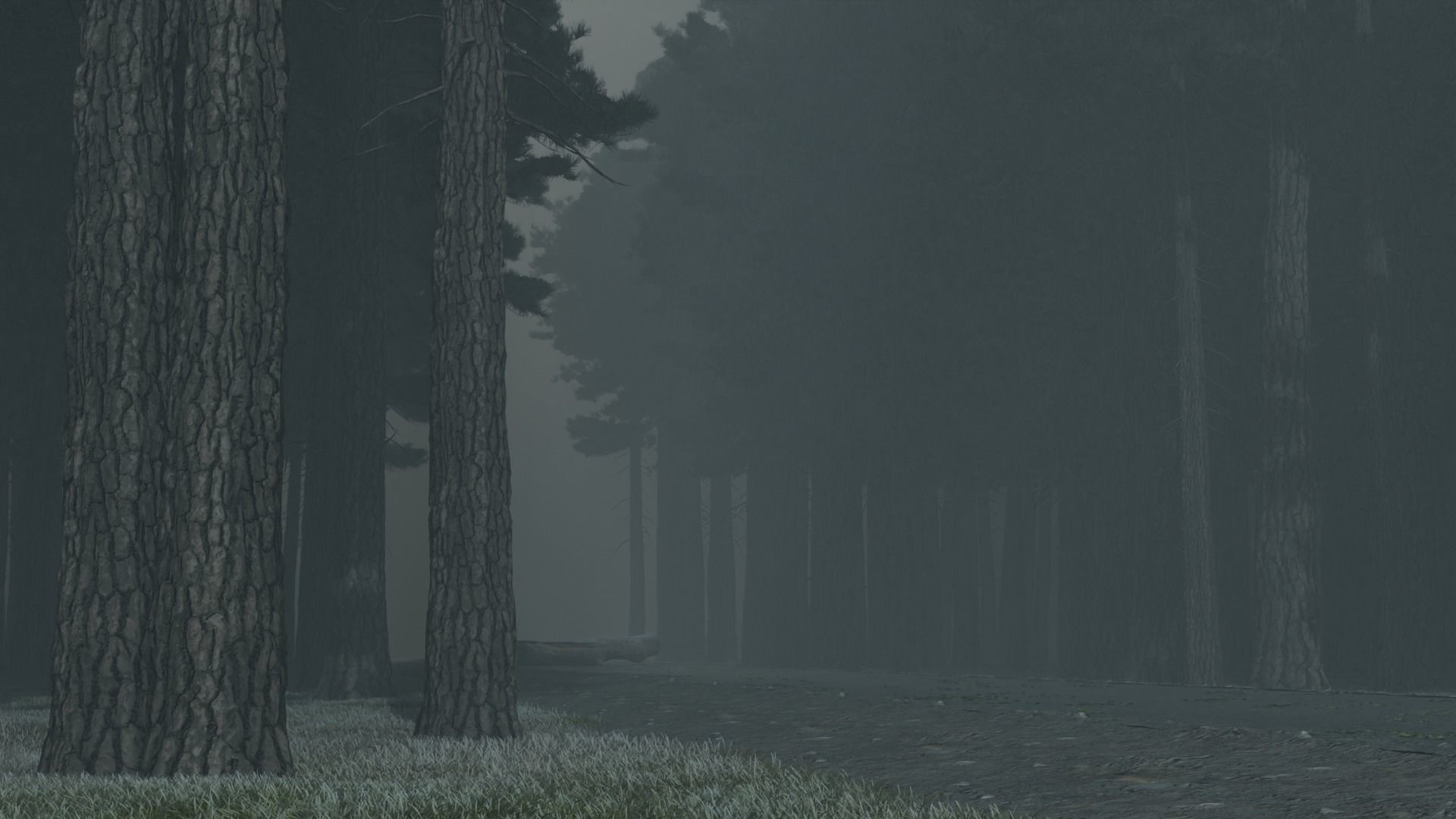 Atmospheric road in the forest 3D model_4