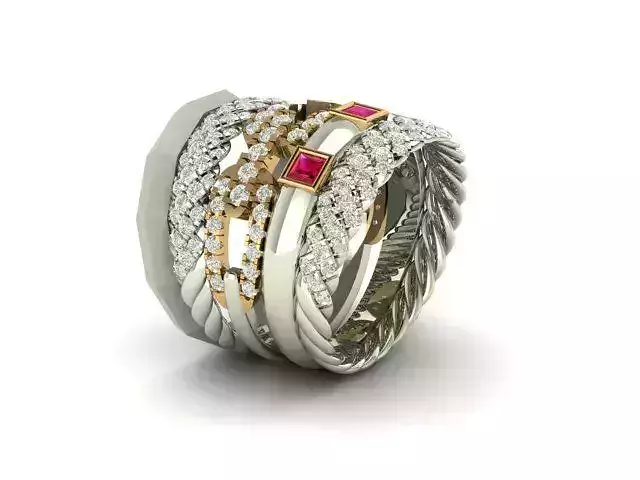  Interlocking Ring  3D print model