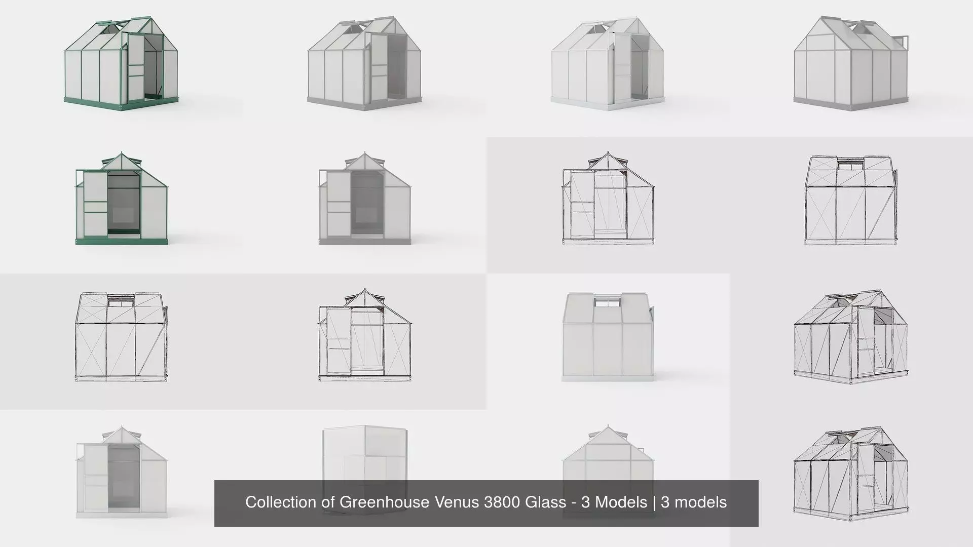Collection of Greenhouse Venus 3800 Glass - 3 Models _0