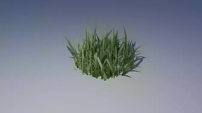 Realistic Grass