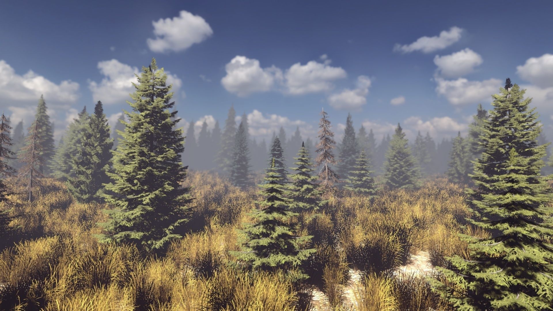 Conifers Vol 1 - Spruces Low-poly 3D model_4