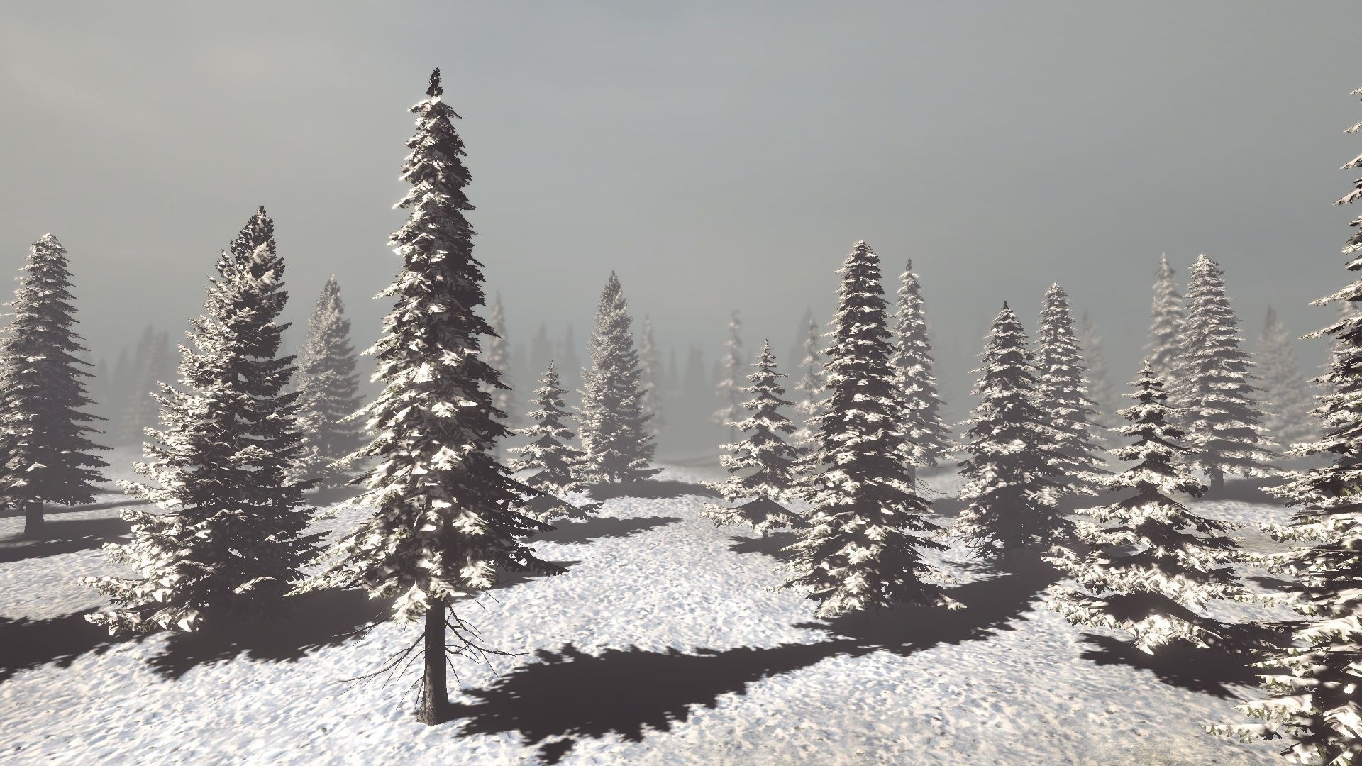 Conifers Vol 1 - Spruces Low-poly 3D model_13