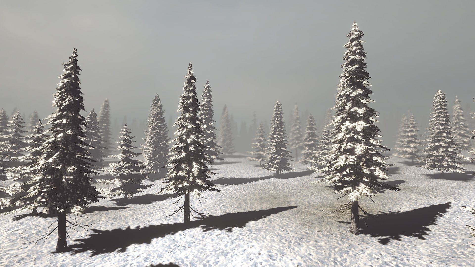 Conifers Vol 1 - Spruces Low-poly 3D model_12