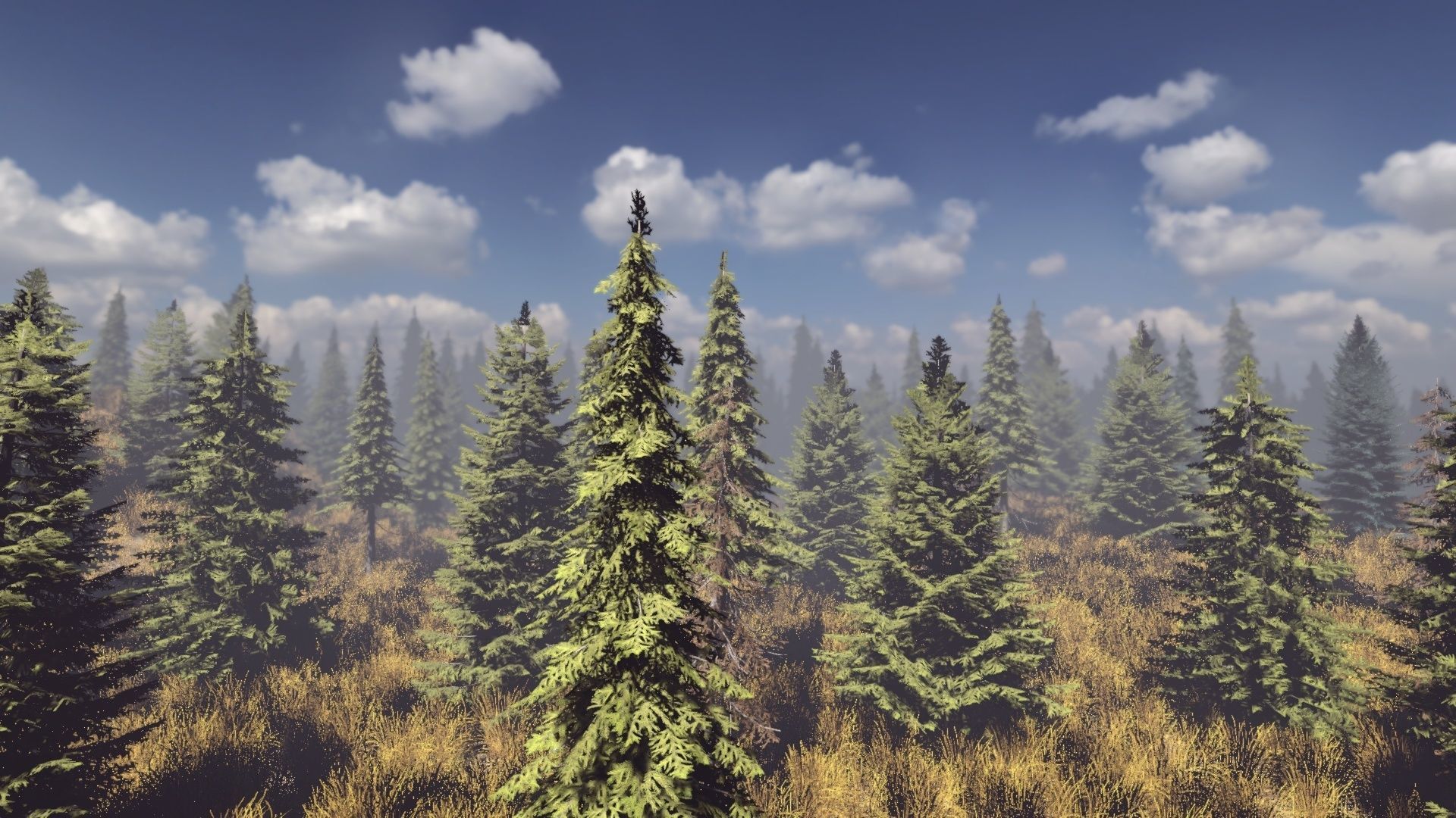 Conifers Vol 1 - Spruces Low-poly 3D model_9
