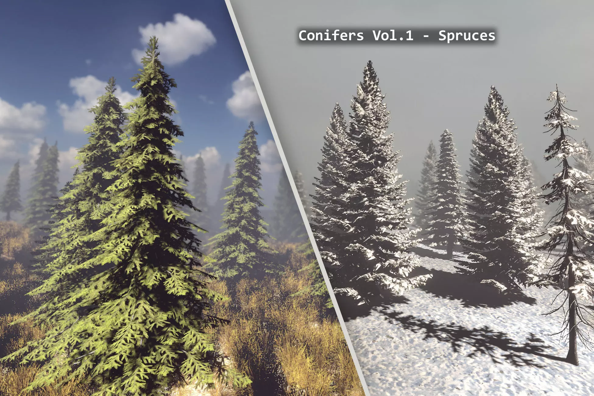 Conifers Vol 1 - Spruces Low-poly 3D model_0