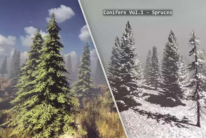 Conifers Vol 1 - Spruces