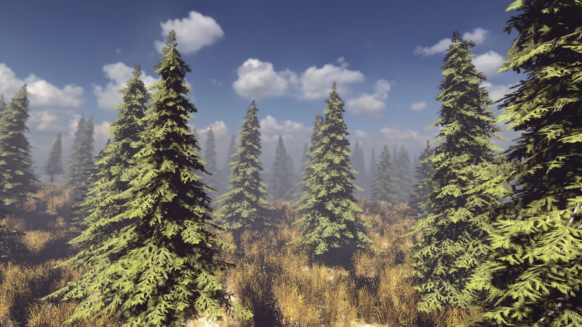 Conifers Vol 1 - Spruces Low-poly 3D model_8