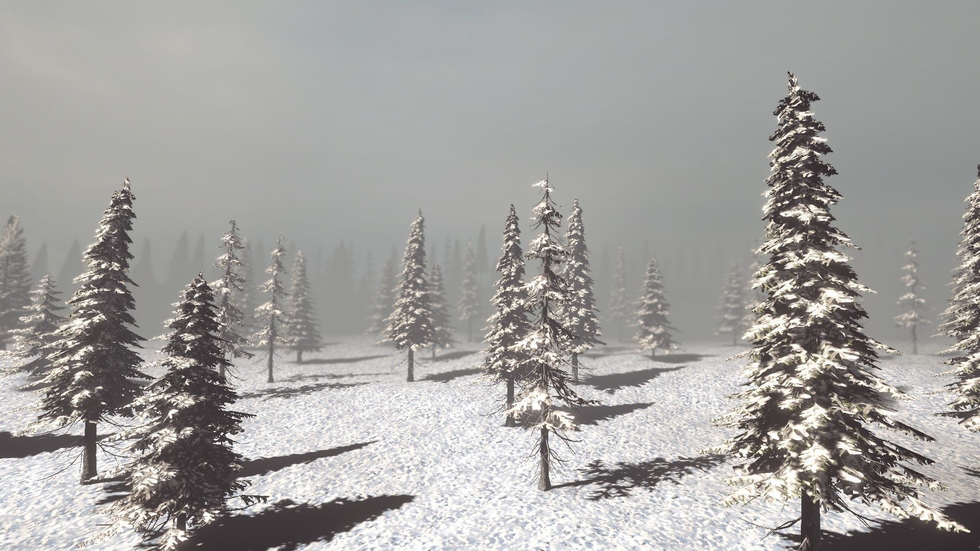 Conifers Vol 1 - Spruces Low-poly 3D model_16