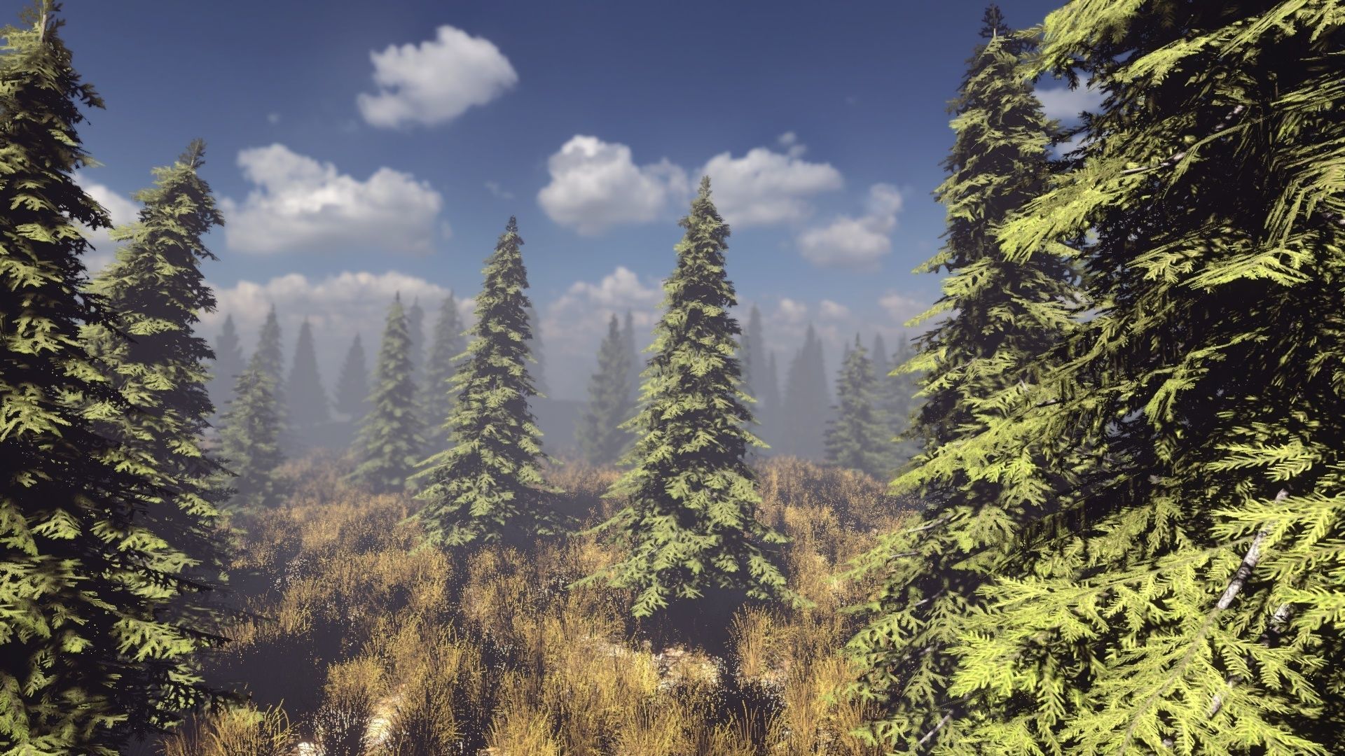 Conifers Vol 1 - Spruces Low-poly 3D model_7
