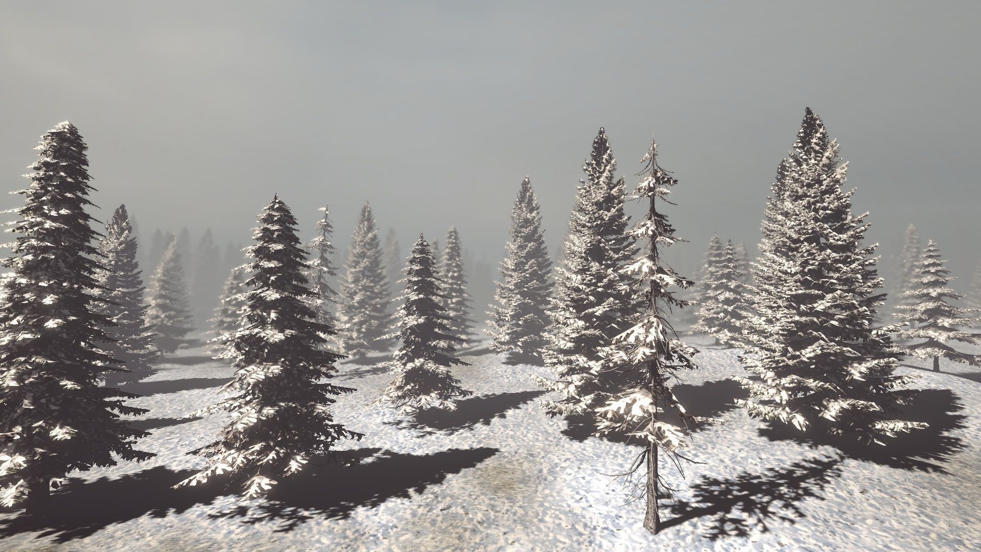 Conifers Vol 1 - Spruces Low-poly 3D model_17